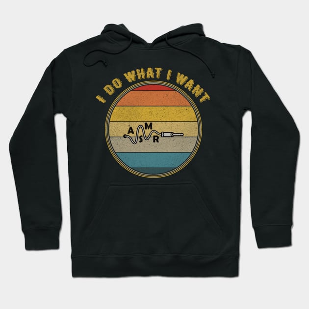 I Do What I Want Asmr Ear Jack Distressed Hoodie by divawaddle